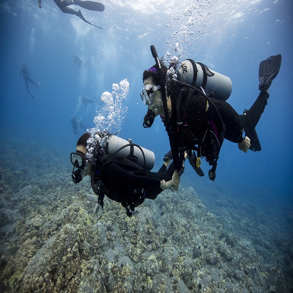 Adventures in Maldives